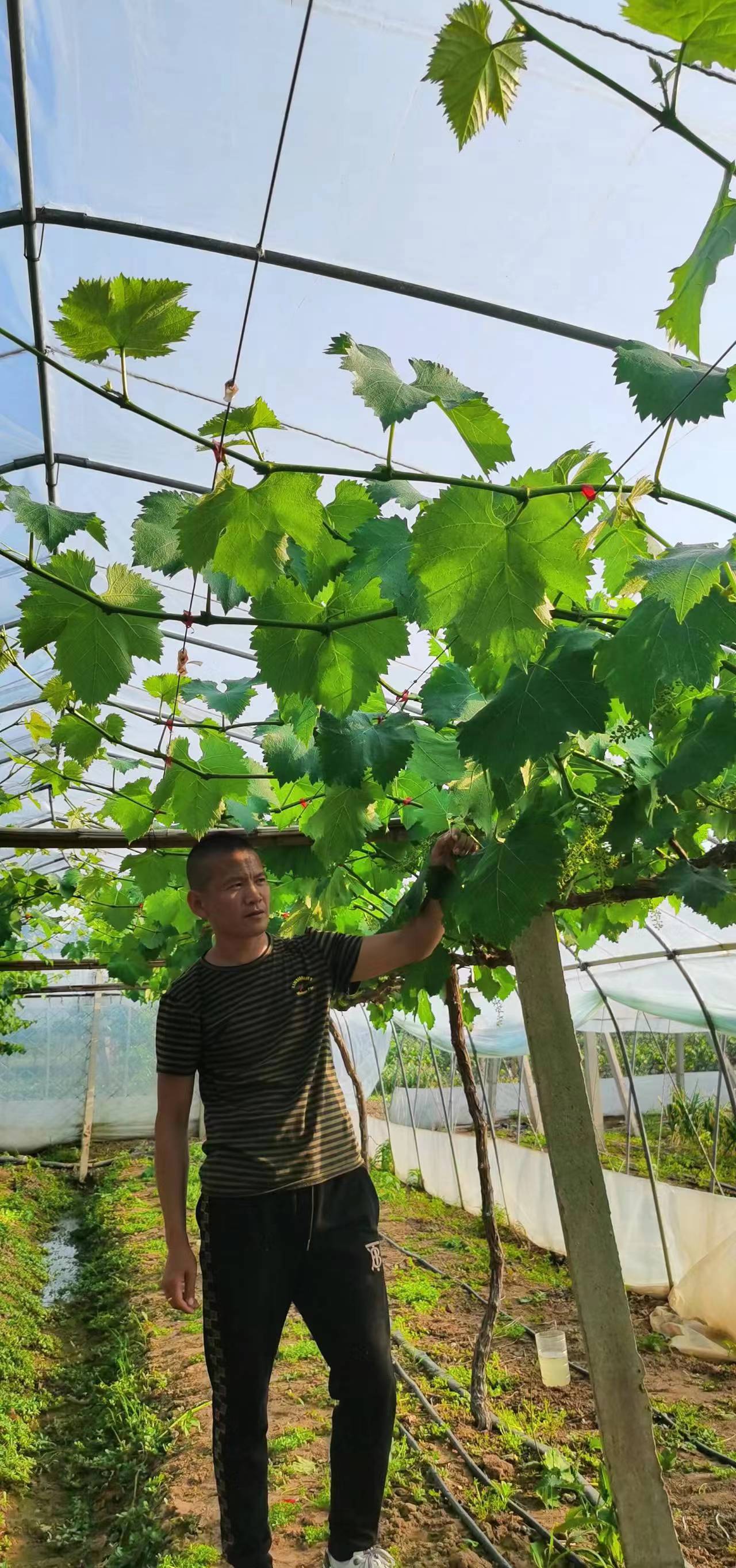 /gb2312/xianqugonghui/12257.html